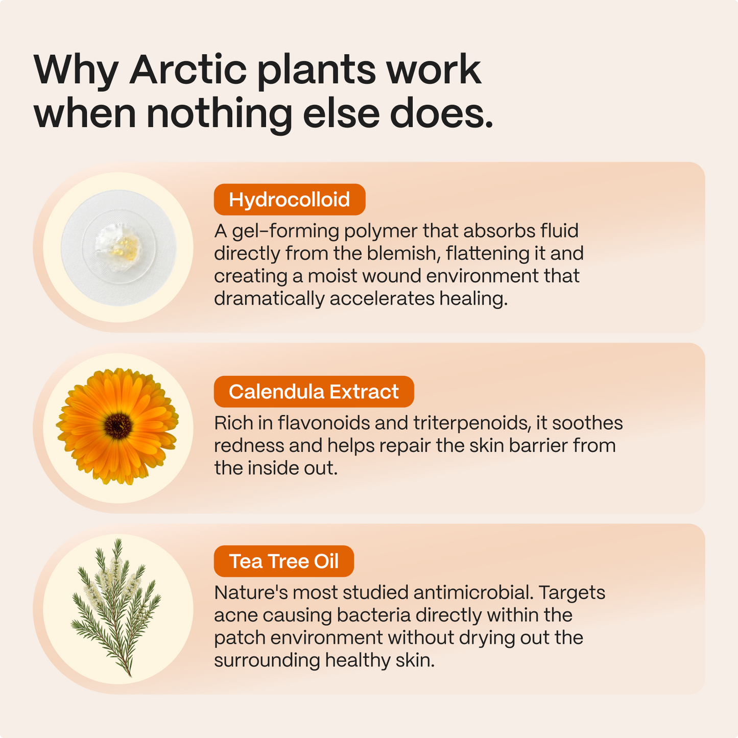 Infographic on how hydrocolloid, calendula and tea tree oil work in Acne Patches