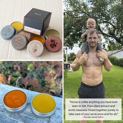 Lifestyle collage of balms and founder outdoors with Arctic botanicals