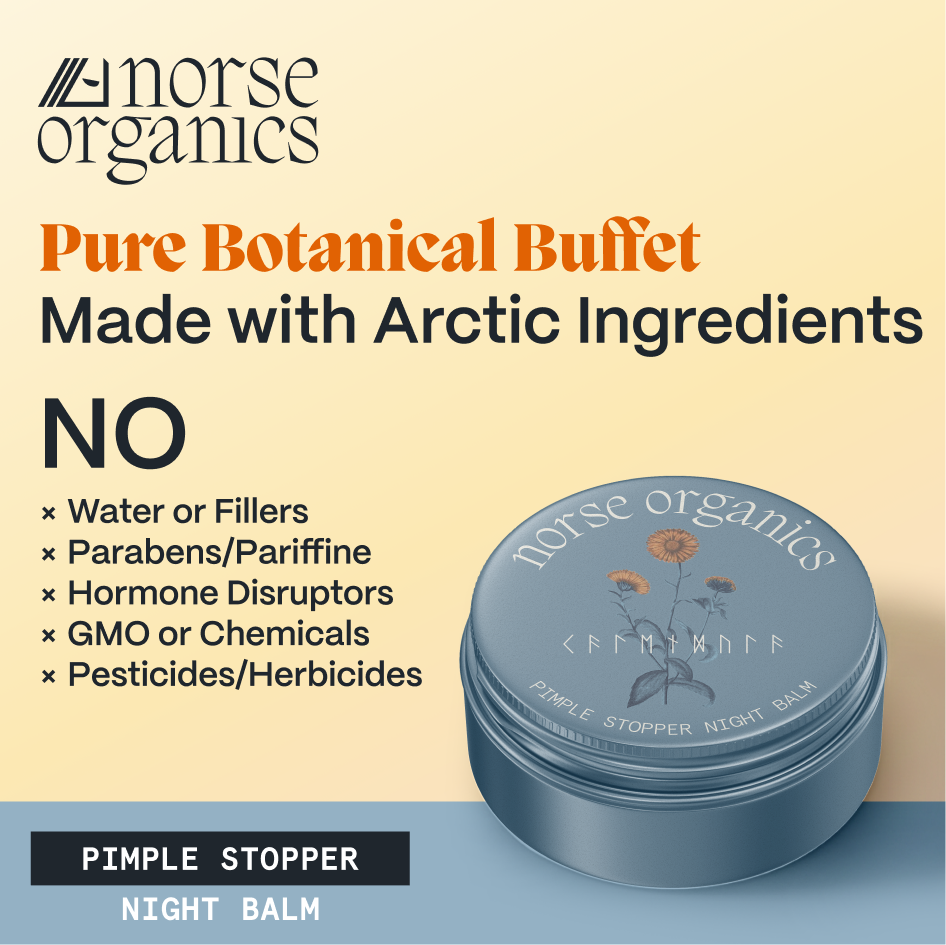 Pimple Stopper Night Balm tin with graphic listing no fillers, parabens or pesticides