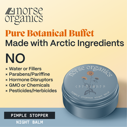 Pimple Stopper Night Balm tin with graphic listing no fillers, parabens or pesticides