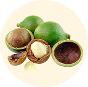Tamanu Seed Oil